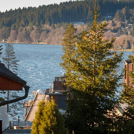 Vila Kubik Lipno ลิปโนนัดเวิลตาวู ภายนอก รูปภาพ
